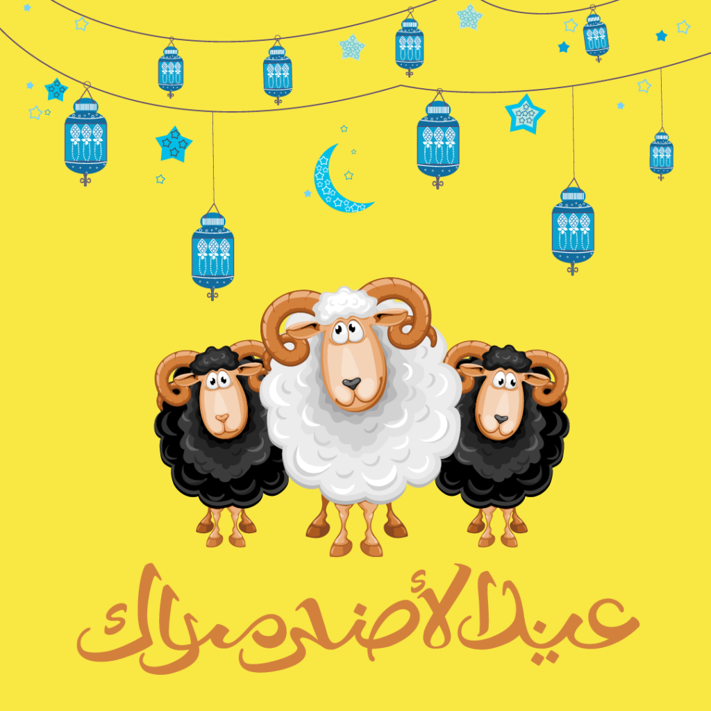 Litplus School Graphic Design Crash Course